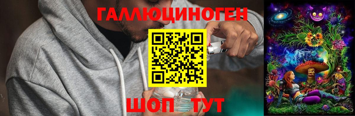 Псилоцибиновые грибы Psilocybine cubensis Невинномысск
